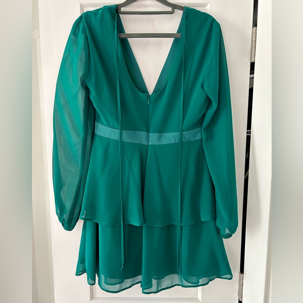 Long sleeve ruffle dress. Bcbg. Size 4.